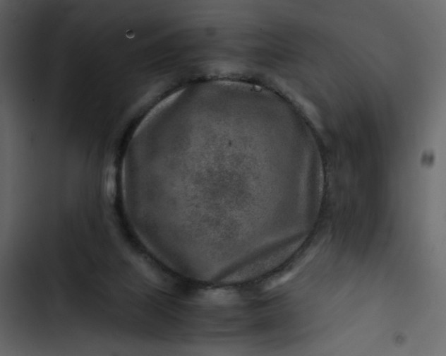 X0000102820067200809021300