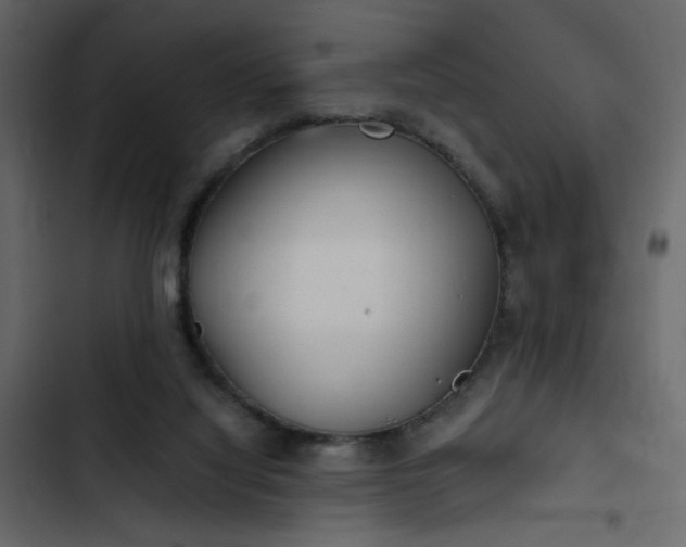X0000102820068200809021300