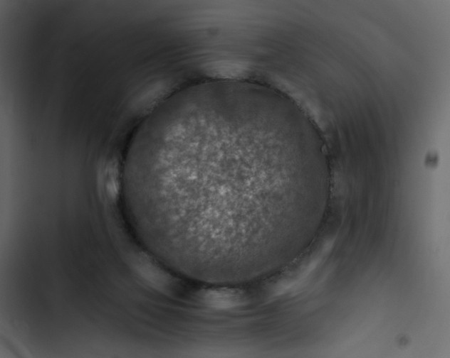 X0000102820069200809021300