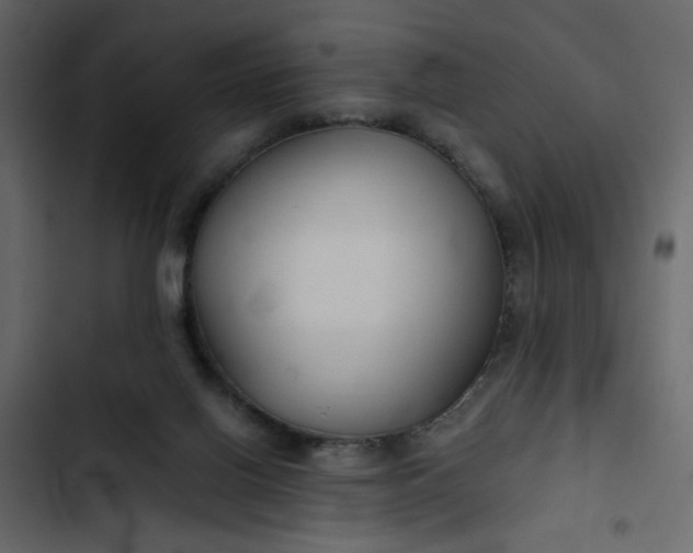 X0000102820070200809021300