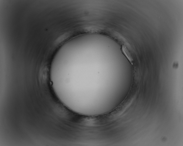 X0000102820071200809021300