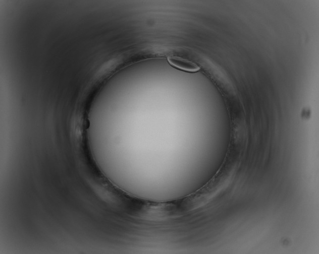 X0000102820072200809021300
