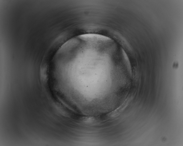 X0000102820074200809021300