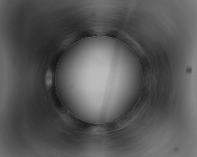 X0000102820075200809021300
