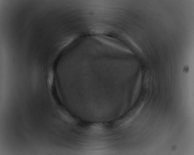 X0000102820076200809021300
