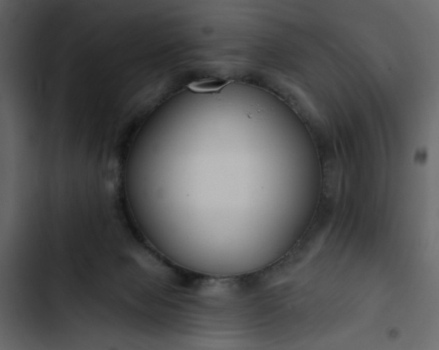 X0000102820077200809021300