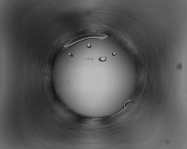 X0000102820078200809021300