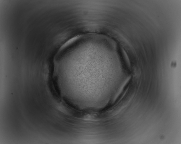 X0000102820080200809021300