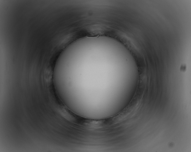 X0000102820081200809021300