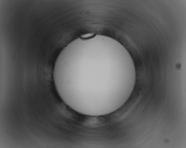 X0000102820083200809021300