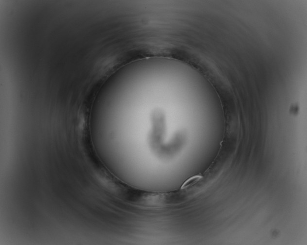 X0000102820084200809021300