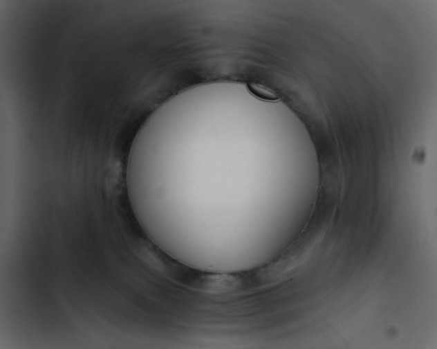 X0000102820087200809021300
