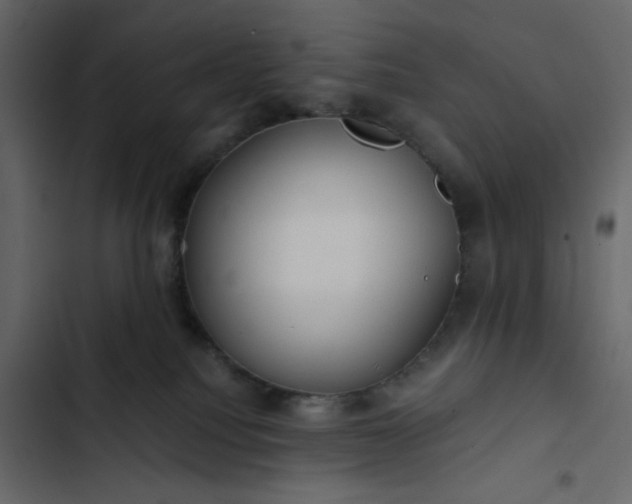 X0000102820088200809021300