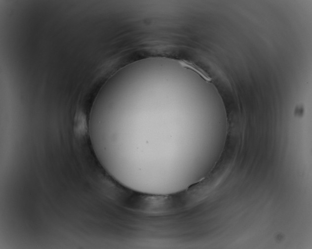 X0000102820089200809021300