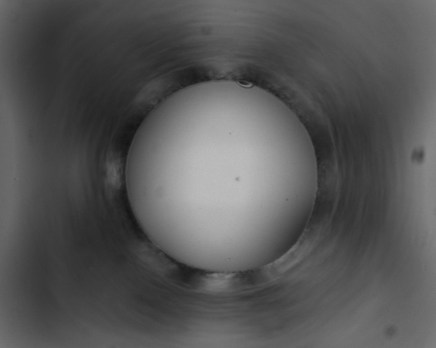 X0000102820090200809021300