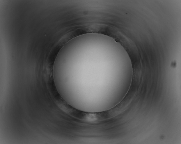 X0000102820091200809021300