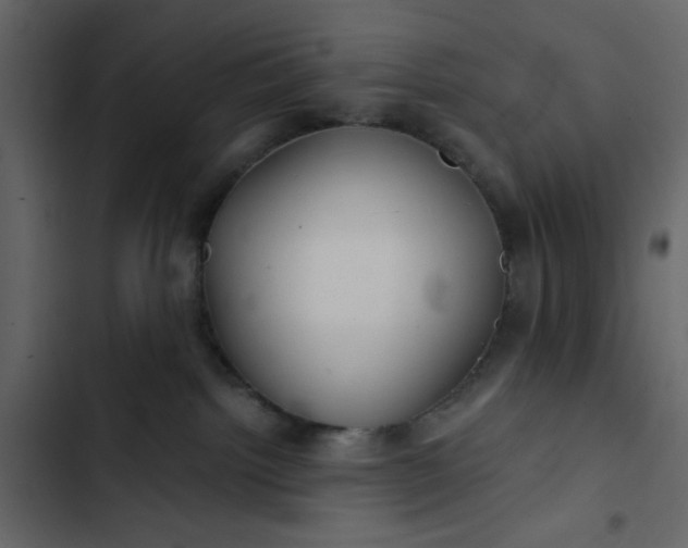 X0000102820092200809021300