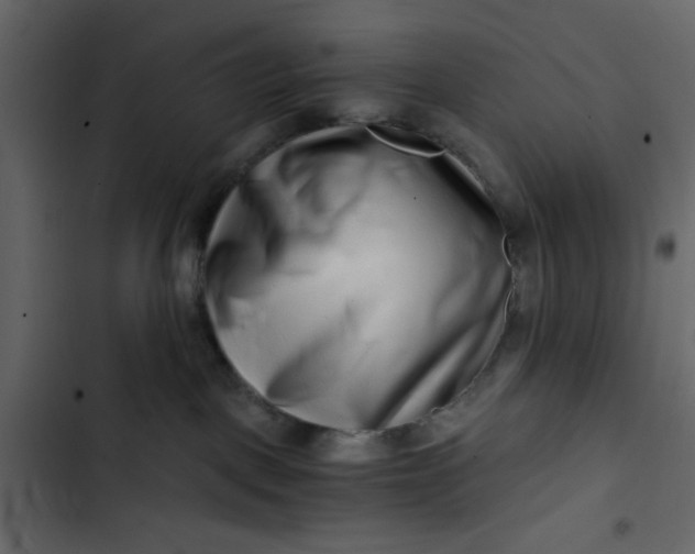X0000102820093200809021300