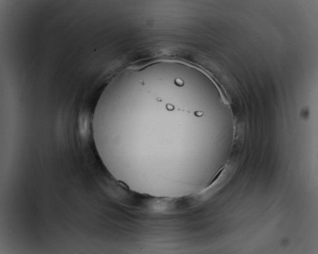 X0000102820094200809021300