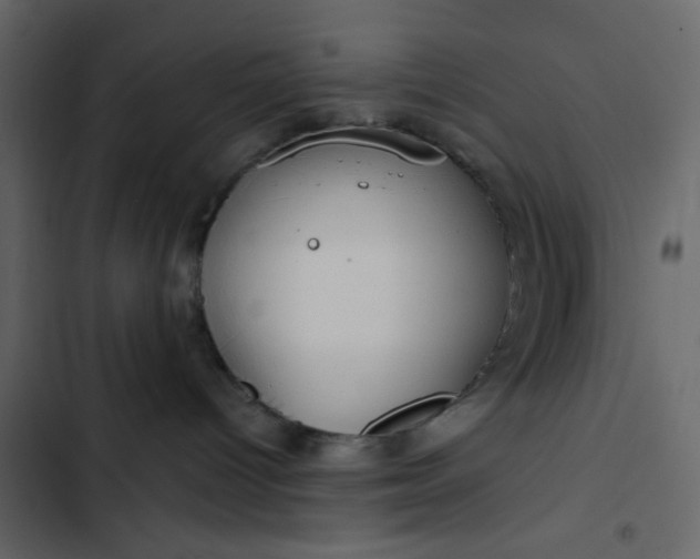 X0000102820096200809021300