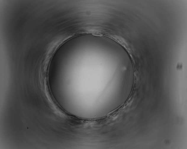 X0000102820097200809021300