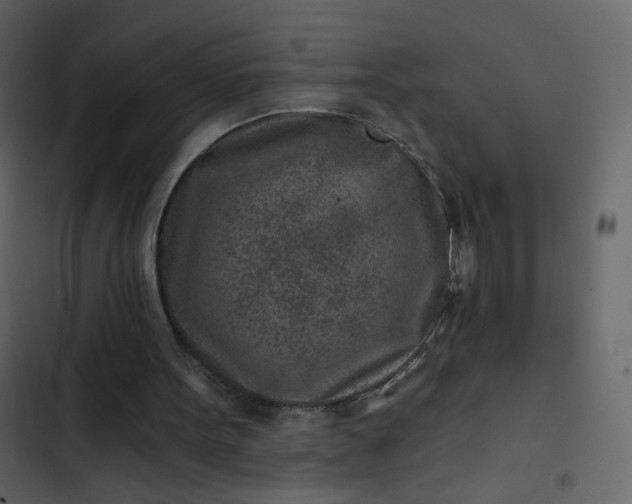 X0000102820099200809021300