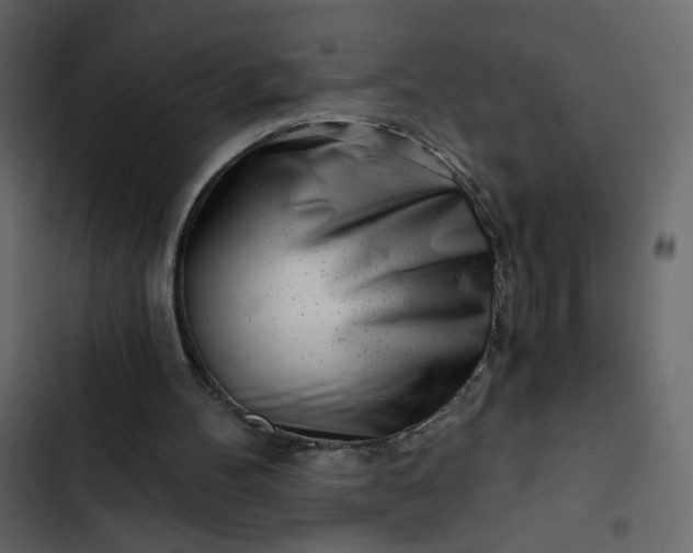 X0000102820100200809021300