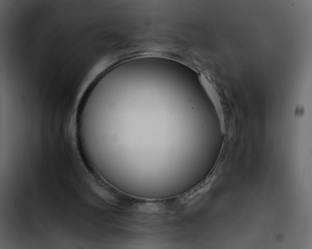 X0000102820102200809021300