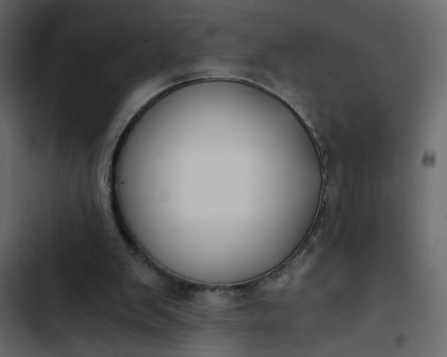 X0000102820103200809021300