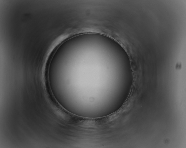 X0000102820104200809021300