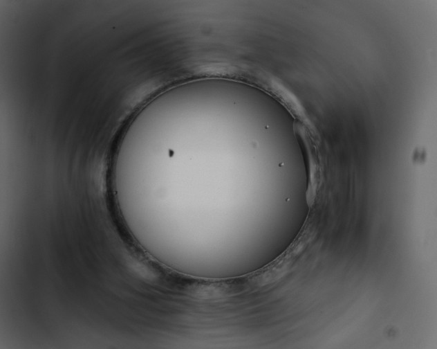X0000102820106200809021300