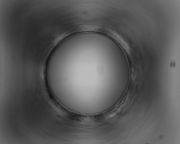 X0000102820107200809021300