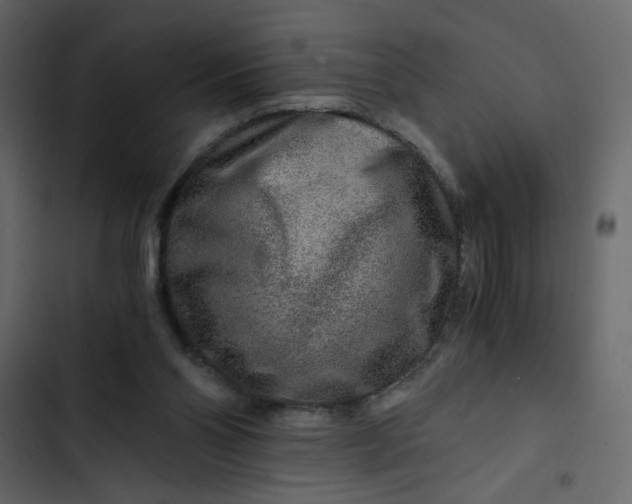 X0000102820110200809021300