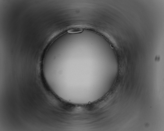 X0000102820111200809021300