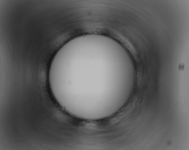 X0000102820113200809021300