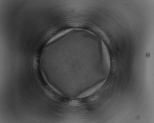 X0000102820114200809021300