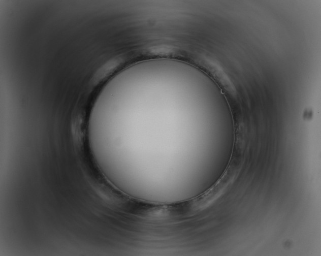 X0000102820116200809021259