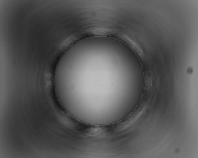 X0000102820117200809021259