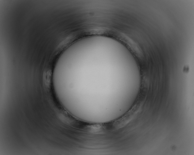 X0000102820118200809021259