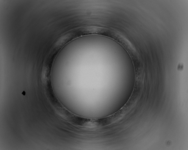 X0000102820119200809021259