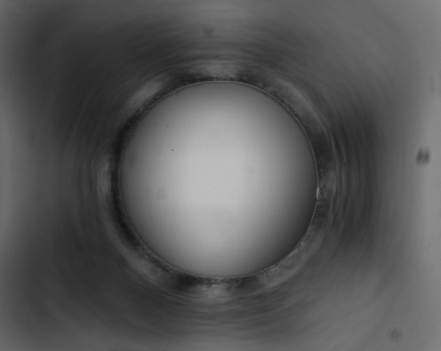 X0000102820120200809021259
