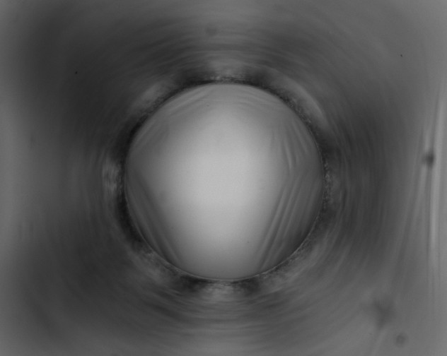 X0000102820123200809021259