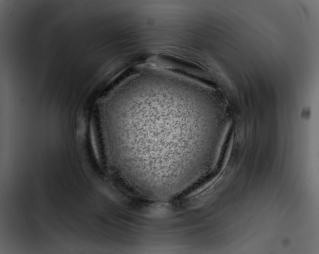 X0000102820124200809021259