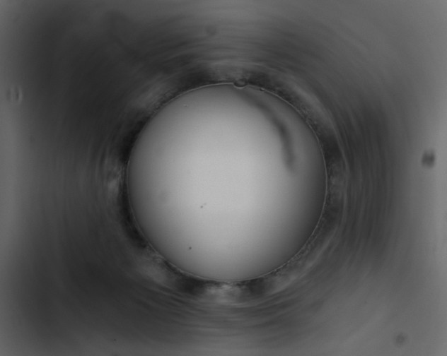 X0000102820125200809021259