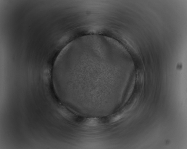 X0000102820127200809021259