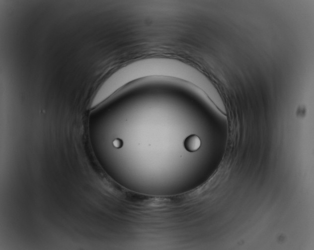 X0000102820128200809021259
