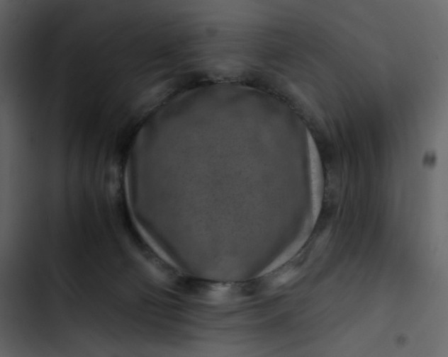 X0000102820130200809021259