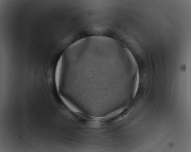 X0000102820131200809021259