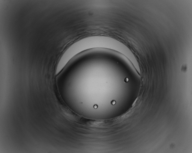 X0000102820132200809021259
