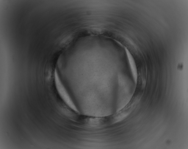 X0000102820134200809021259